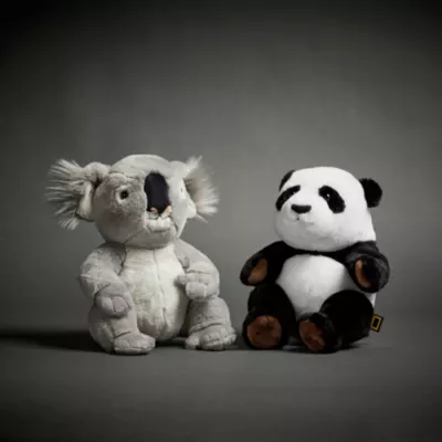 National Geographic - Koalajunges - Kuscheltier 4 National Geographic - Koalajunges - Kuscheltier - Image 2