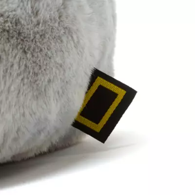 National Geographic - Koalajunges - Kuscheltier 7 National Geographic - Koalajunges - Kuscheltier - Image 5