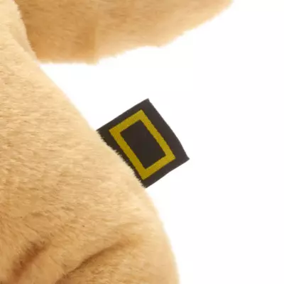 National Geographic - Löwenjunges - Kuscheltier 7 National Geographic - Löwenjunges - Kuscheltier – Bild 5