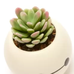 Disney Store - Baymax - Riesiges Robowabohu - Baymax - Künstliche Pflanze Im Topf 11 Disney Store - Baymax - Riesiges Robowabohu - Baymax - Künstliche Pflanze Im Topf -Disney 465043353962 4